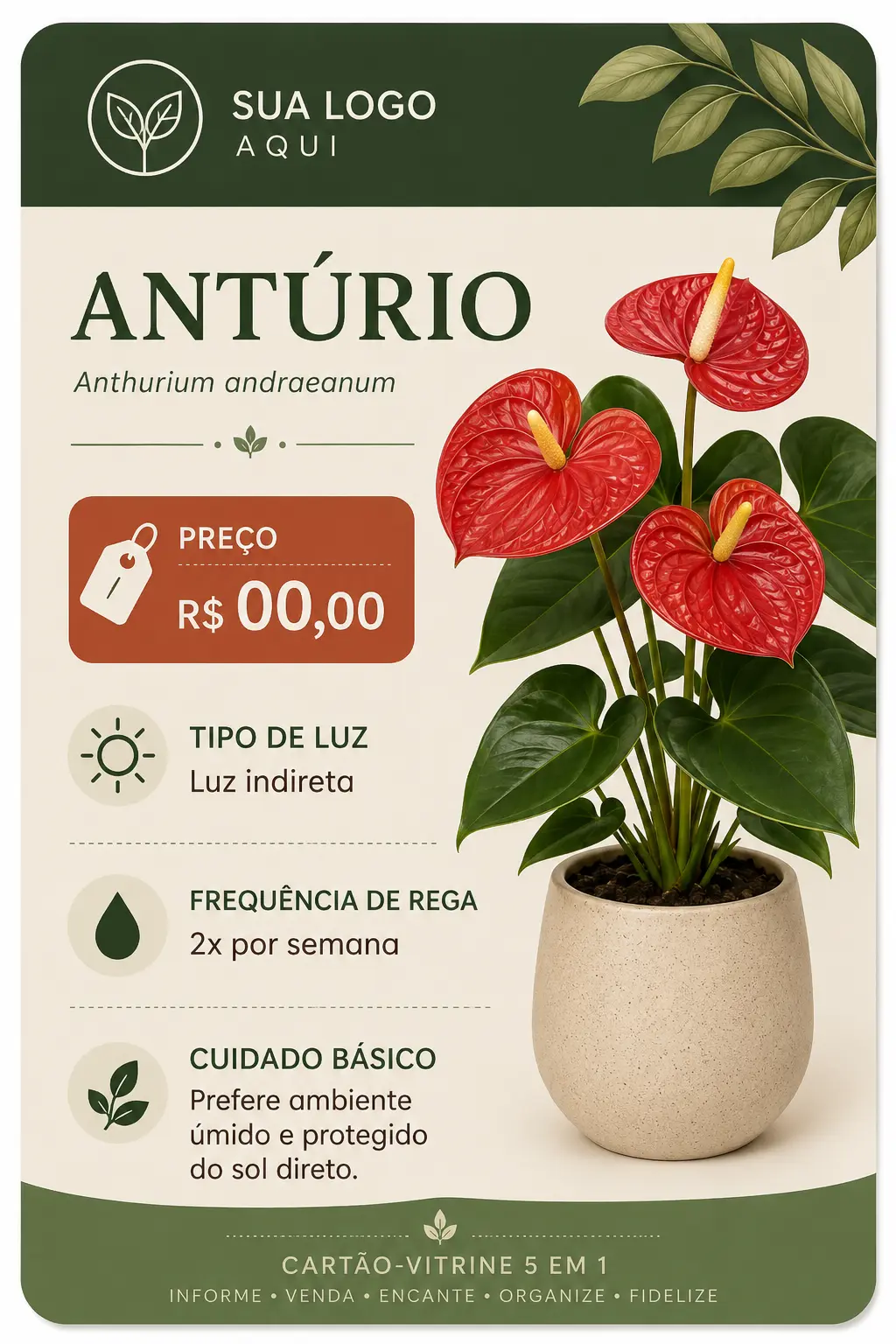 ChatGPT Image 16 de jun. de 2026, 16_26_25 (4)