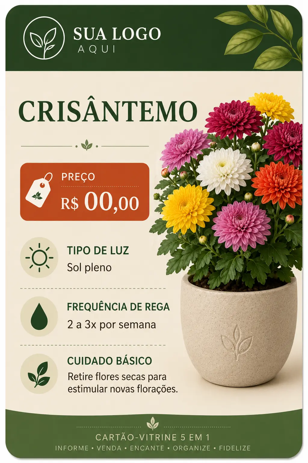 ChatGPT Image 16 de jun. de 2026, 18_11_57 (2)